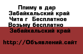 Ппиму в дар  - Забайкальский край, Чита г. Бесплатное » Возьму бесплатно   . Забайкальский край